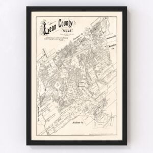 Leon County Map 1879