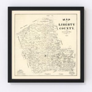 Liberty County Map 1895